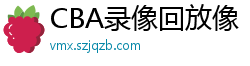 CBA录像回放像